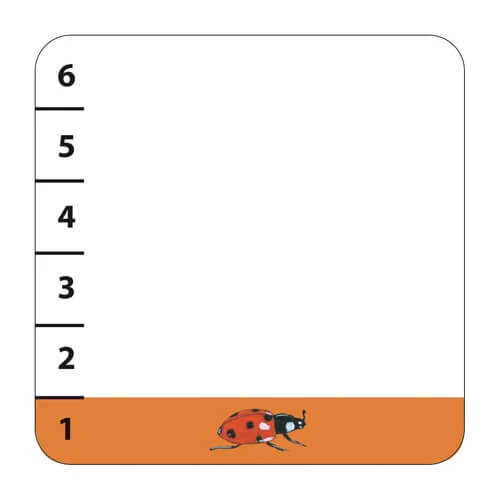 Djeco – Batanimo 9 Djeco – Batanimo – Image 7