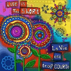 Jacarou – Broderie De Diamants 40 Cm X 40 Cm – La Vie Est Trop Courte