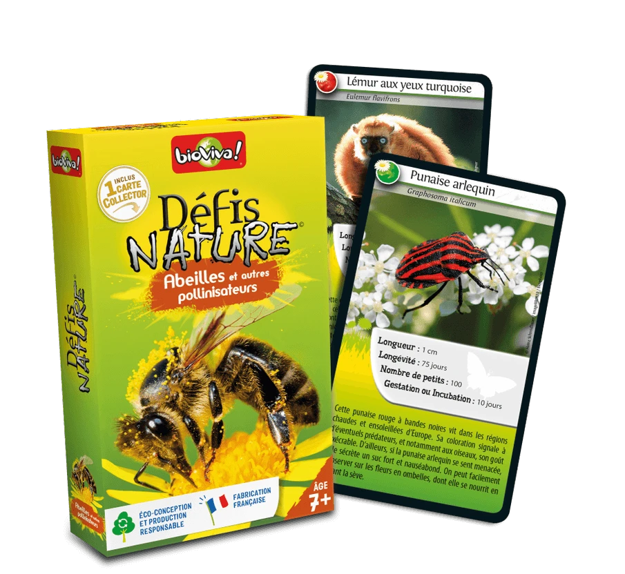 Bioviva – Défis Nature – Abeilles Et Autres Pollinisateurs 4 Bioviva – Défis Nature – Abeilles Et Autres Pollinisateurs – Image 2